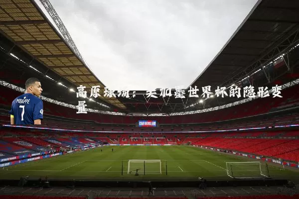 高原球场:美加墨世界杯的隐形变量